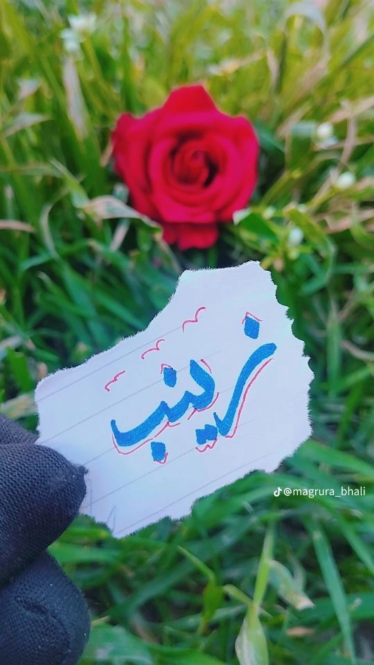 Zina Zeneb_7roxp