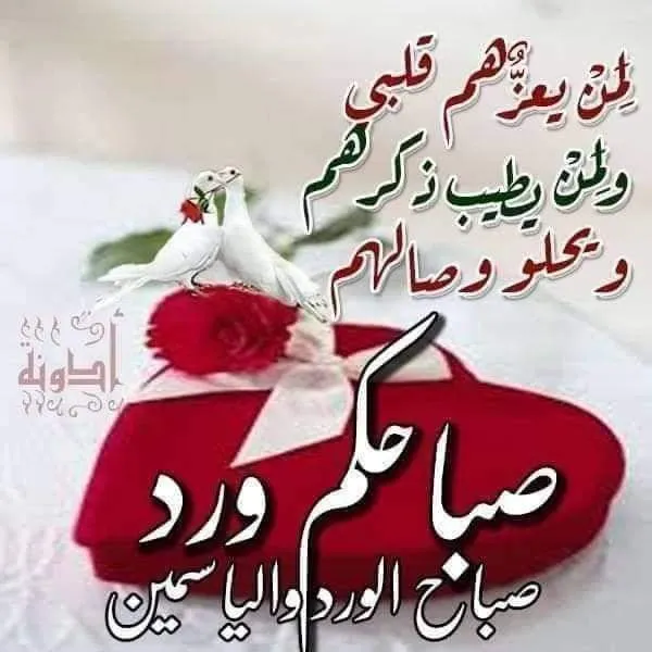 mekelleche fatiha_n60P3