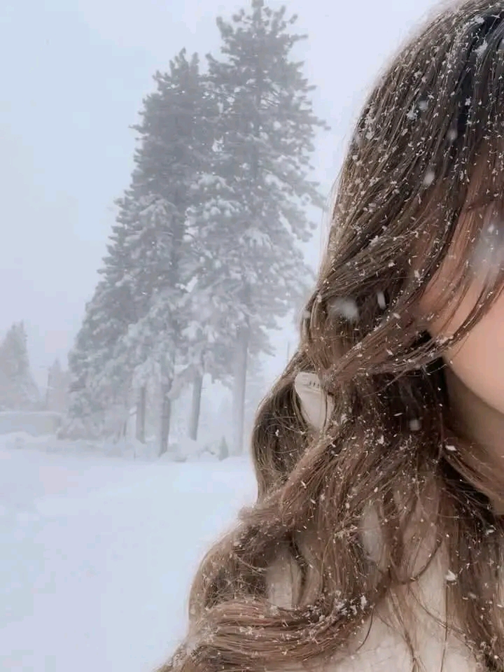 ����� ����_k_K48