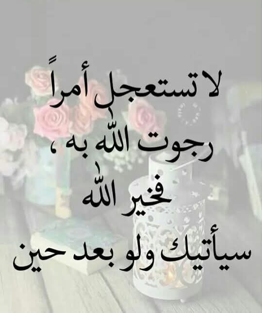 Nono Yasine_wYV3n