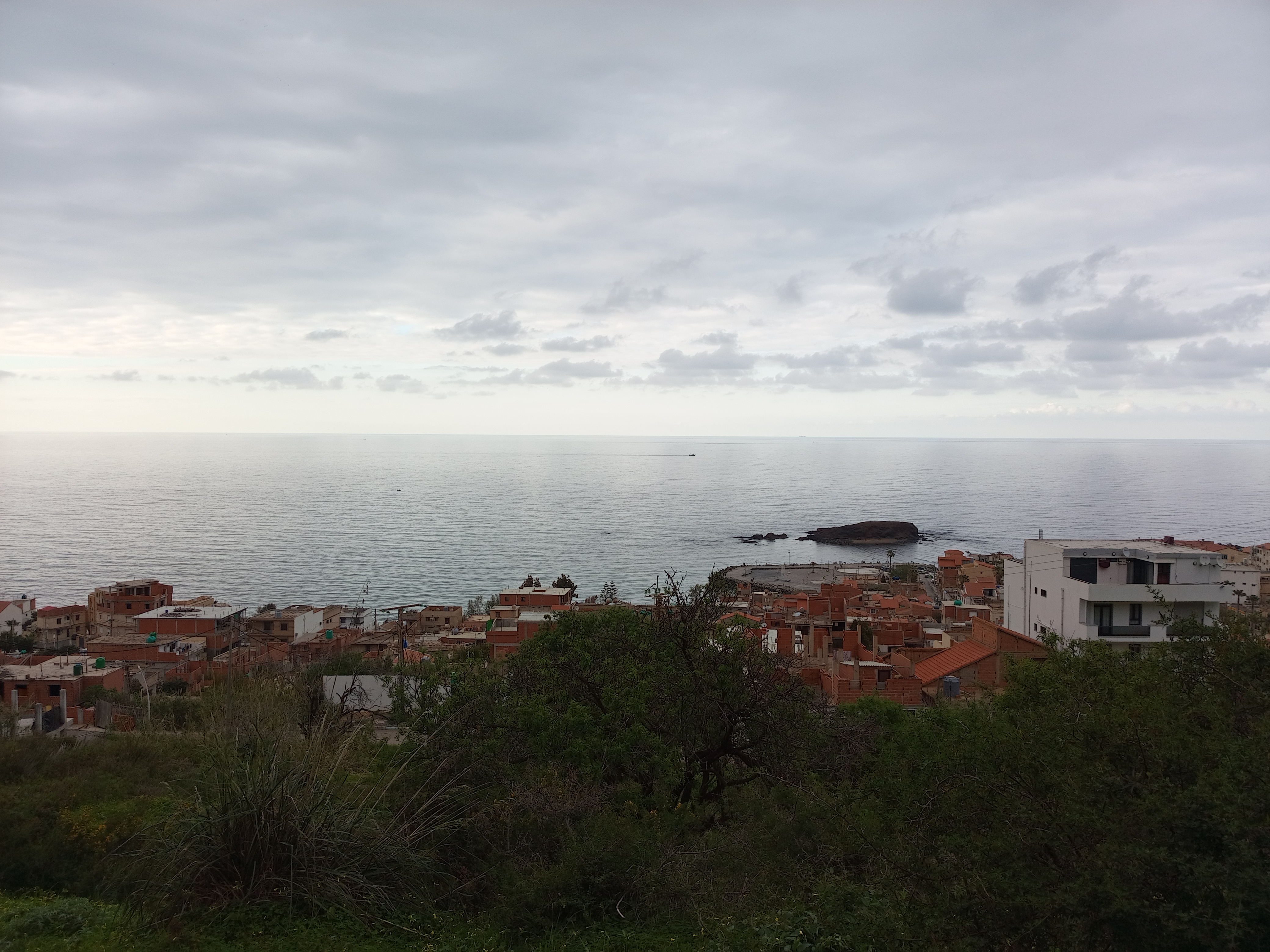 ������ �����_CqBgc